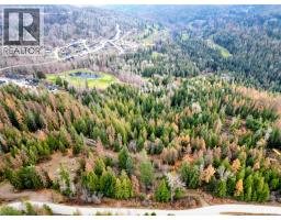 766 Drakes Road, Rossland, BC V0G1Y0 Photo 6