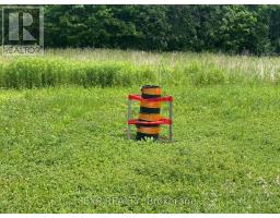 3345 Gore Road, Thames Centre, ON N0L1G4 Photo 16