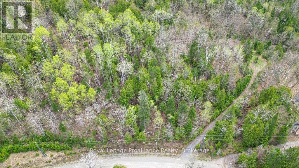 2611 RIVER ROAD - 20
