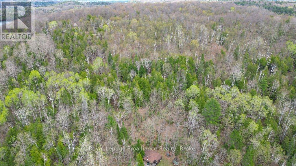2611 RIVER ROAD - 24