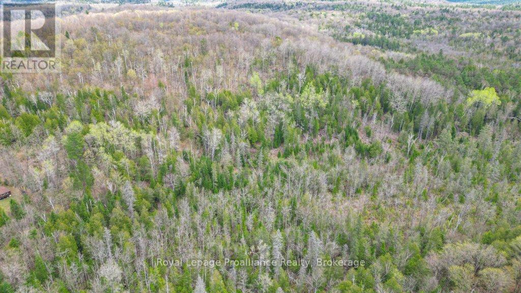 2611 RIVER ROAD - 25