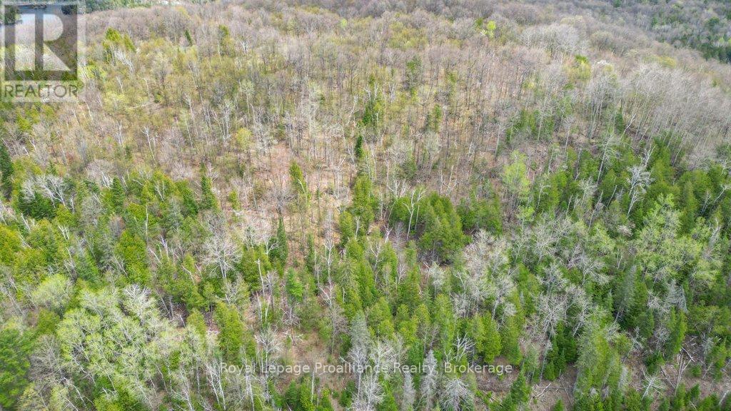 2611 RIVER ROAD - 26