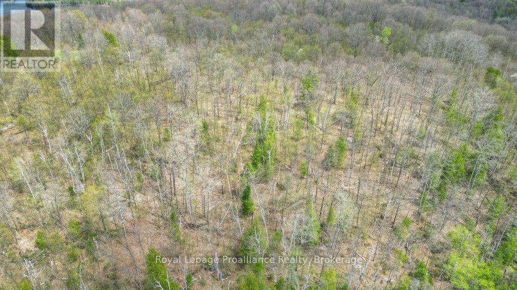 2611 RIVER ROAD - 27