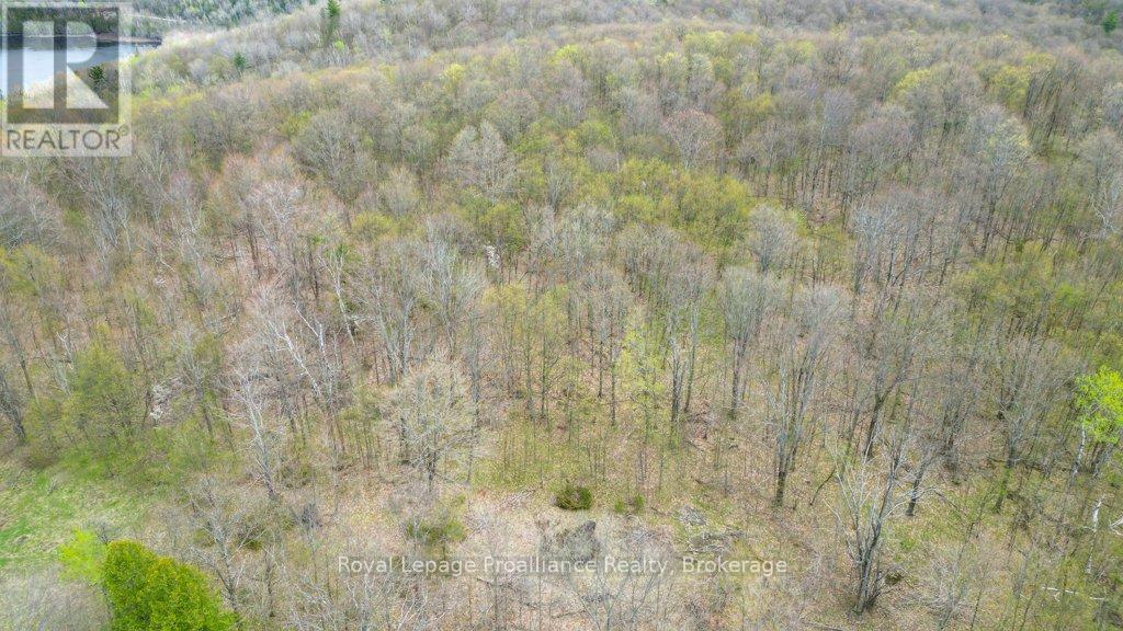 2611 RIVER ROAD - 28