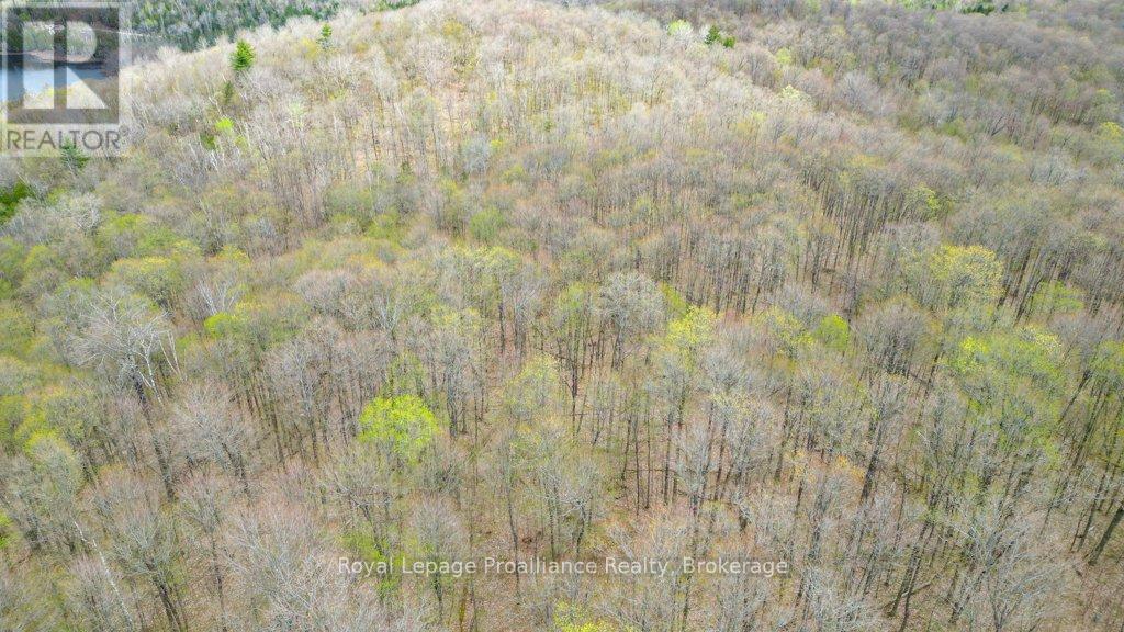 2611 RIVER ROAD - 29