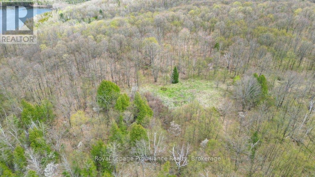 2611 RIVER ROAD - 30