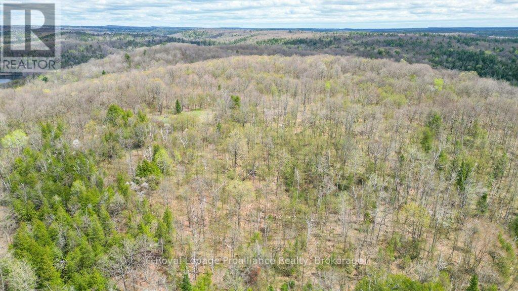 2611 RIVER ROAD - 31