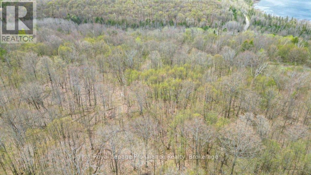 2611 RIVER ROAD - 32