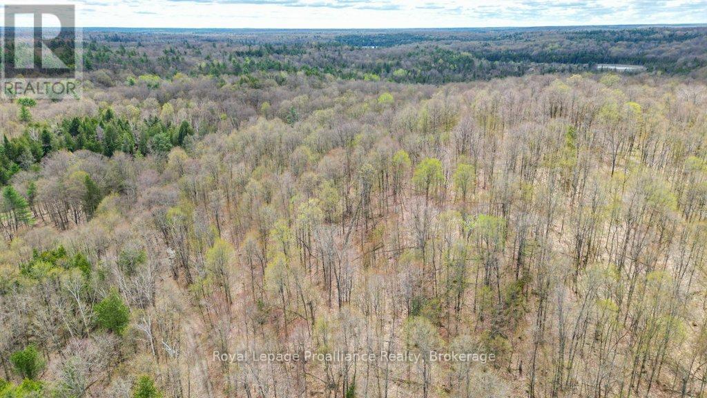 2611 RIVER ROAD - 33