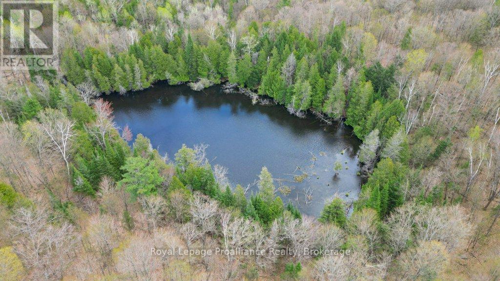 2611 RIVER ROAD - 34