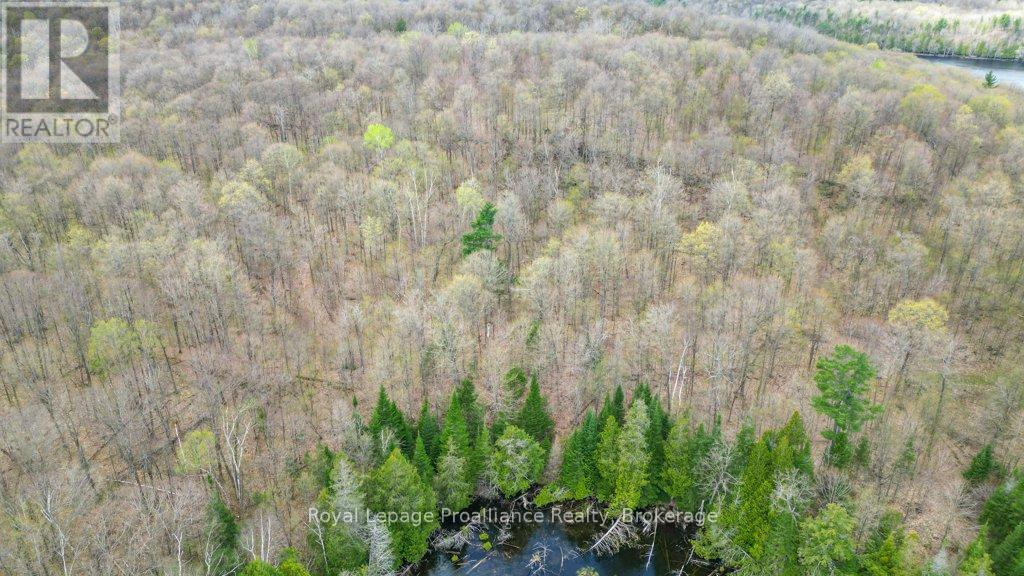 2611 RIVER ROAD - 35
