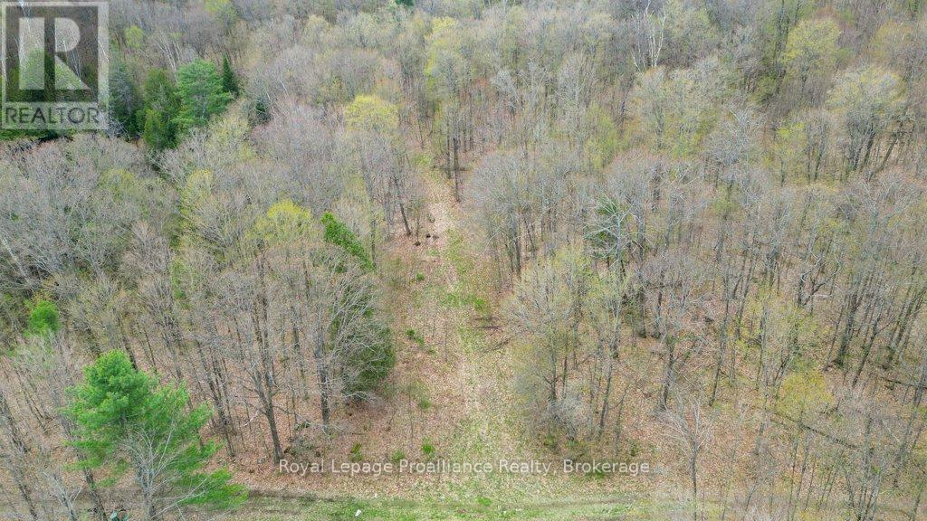 2611 RIVER ROAD - 36