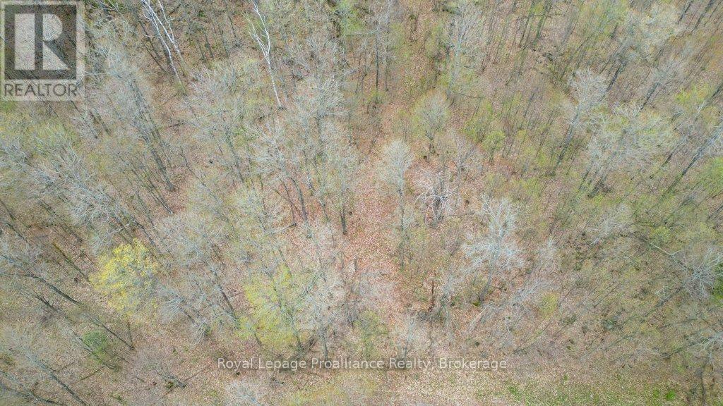 2611 RIVER ROAD - 37