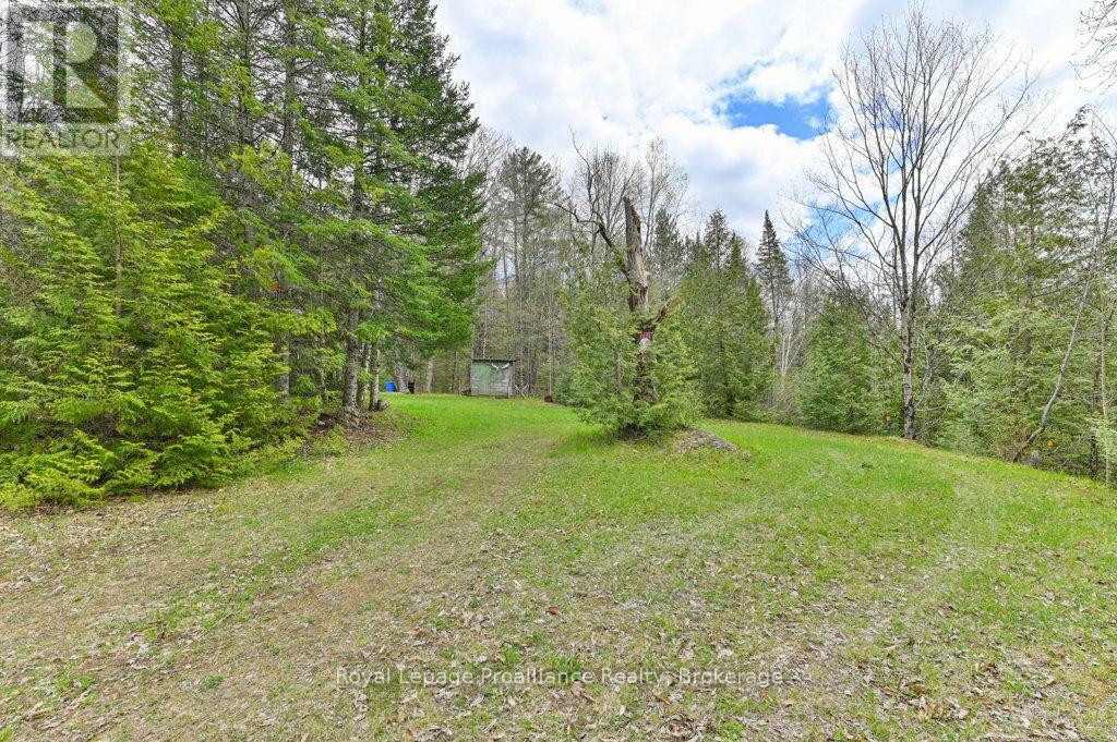 2611 RIVER ROAD - 4