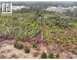 7 Highway, Ecum Secum, NS B0J2A0 Photo 14