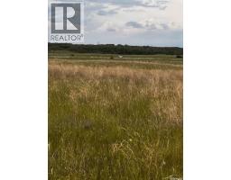 Starling Highway 11 East, Dundurn Rm No  314, SK S0K1K0 Photo 7