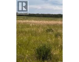 Starling Highway 11 East, Dundurn Rm No  314, SK S0K1K0 Photo 8
