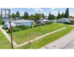 4903 49 Street, Alix, AB T0C0B0 Photo 7