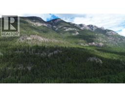 2660 95 Highway, Brisco, BC V0A1B0 Photo 51