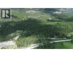 2660 95 Highway, Brisco, BC V0A1B0 Photo 49
