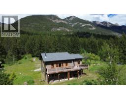 2660 95 Highway, Brisco, BC V0A1B0 Photo 63