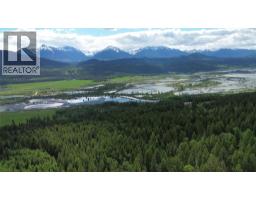 2660 95 Highway, Brisco, BC V0A1B0 Photo 52