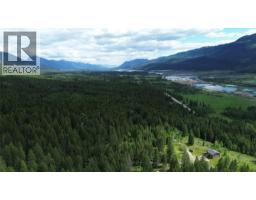 2660 95 Highway, Brisco, BC V0A1B0 Photo 58