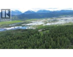 2660 95 Highway, Brisco, BC V0A1B0 Photo 54