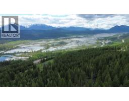 2660 95 Highway, Brisco, BC V0A1B0 Photo 56