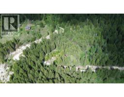 2660 95 Highway, Brisco, BC V0A1B0 Photo 50