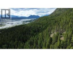 2660 95 Highway, Brisco, BC V0A1B0 Photo 53