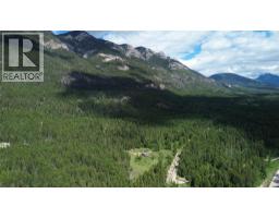 2660 95 Highway, Brisco, BC V0A1B0 Photo 59