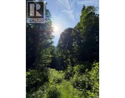 5 Upper Pitt River Road, Pitt Meadows, BC V0M1C0 Photo 6