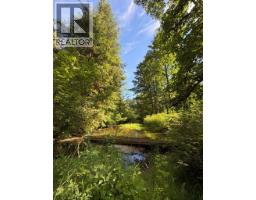 5 Upper Pitt River Road, Pitt Meadows, BC V0M1C0 Photo 8