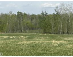 281029 Hwy 616, Rural Wetaskiwin County, AB T0C2C0 Photo 18