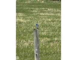 281029 Hwy 616, Rural Wetaskiwin County, AB T0C2C0 Photo 25