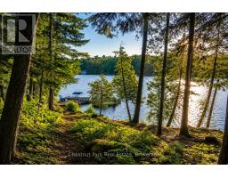 26 Taylor Island 26lm, Gravenhurst), ON P1P1R2 Photo 27