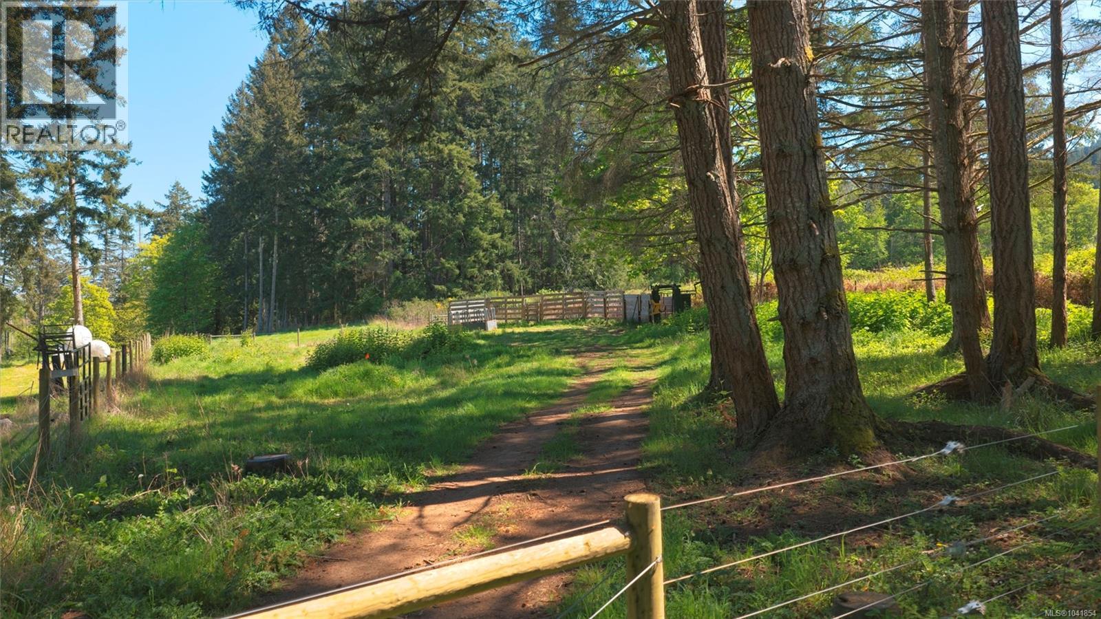 378 Rainbow Rd - 35