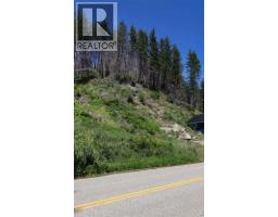 5185 Squilax Anglemont Road, Celista, BC V0E1M6 Photo 7
