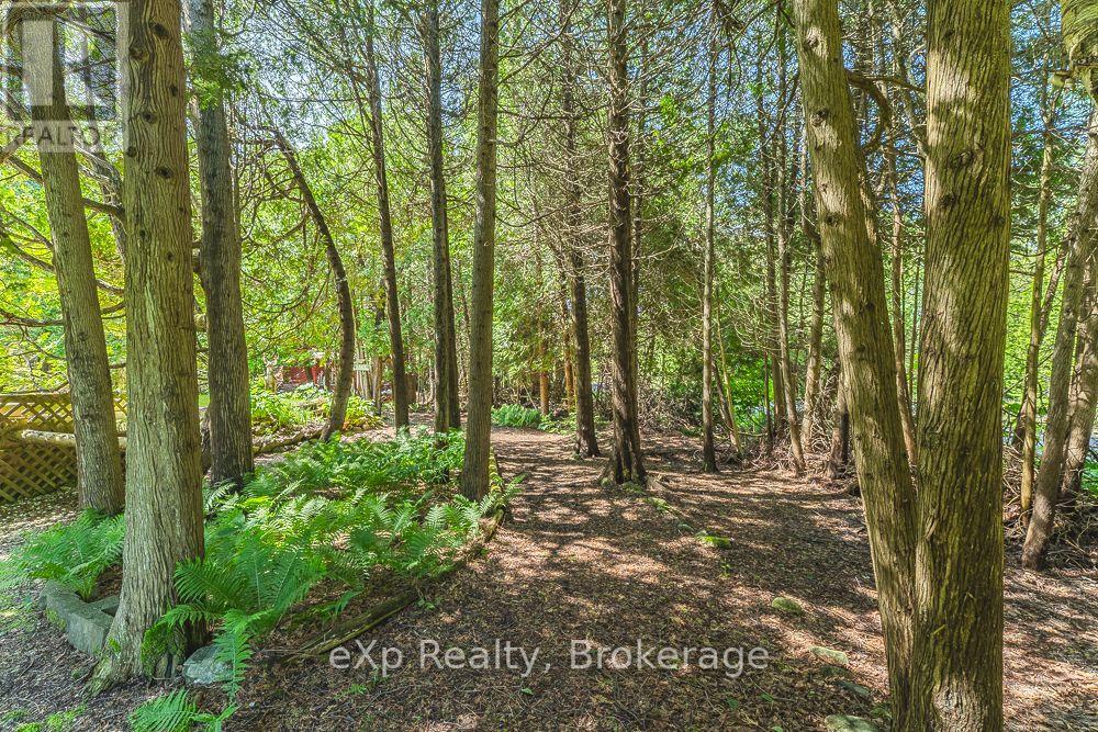 245 WHISKEY HARBOUR ROAD - 40