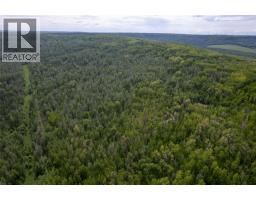Near 206 Road, Dawson Creek, BC V0C2C0 Photo 6