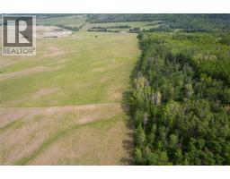 Off 206 Road, Dawson Creek, BC V0C2C0 Photo 8