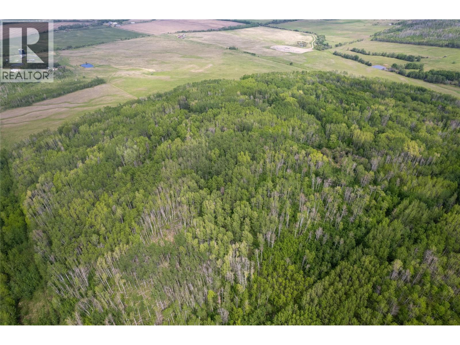 Off 206 Road, Dawson Creek — photo 3