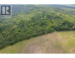 Off 206 Road, Dawson Creek, BC V0C2C0 Photo 7