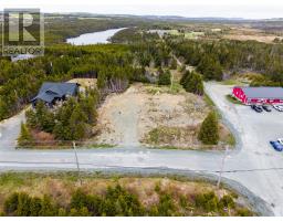 1194D Portugal Cove Road thumbnail 8