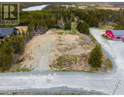 1194D Portugal Cove Road thumbnail 6