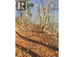 Norton Shore, Kingston, NB E5N2A5 Photo 7