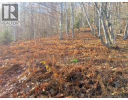 Norton Shore, Kingston, NB E5N2A5 Photo 9