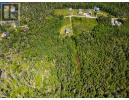 47 Golden Glow Lane, Little River Harbour, NS B0W1B0 Photo 37
