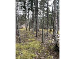 Old Mulgrave Road, Monastery, NS B0H1W0 Photo 33